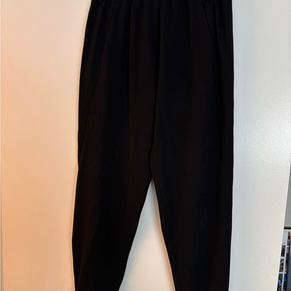 Aritzia Babaton Dexter Black High-Waist Tapered Pants